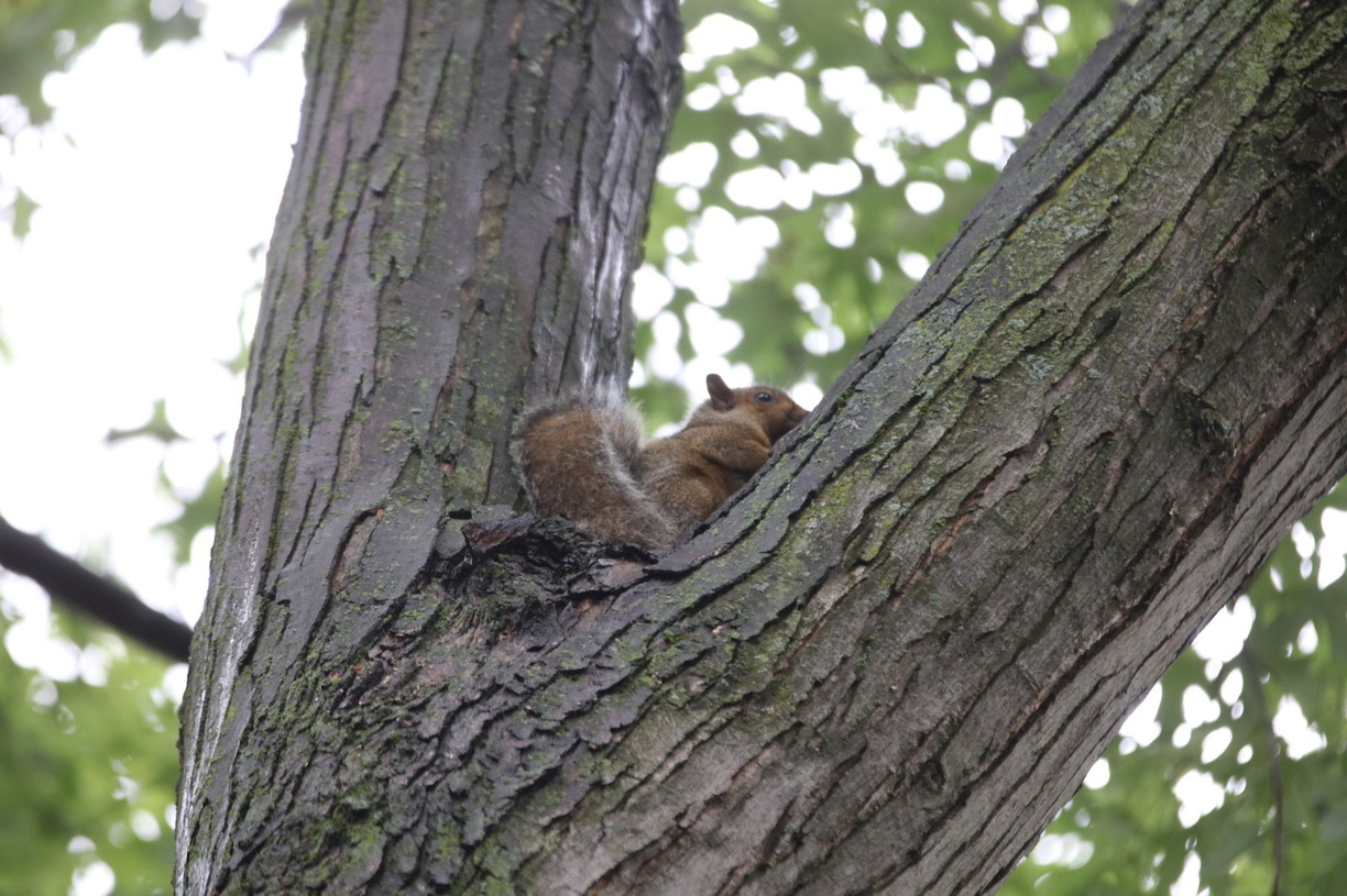 20160710220623-42c44664