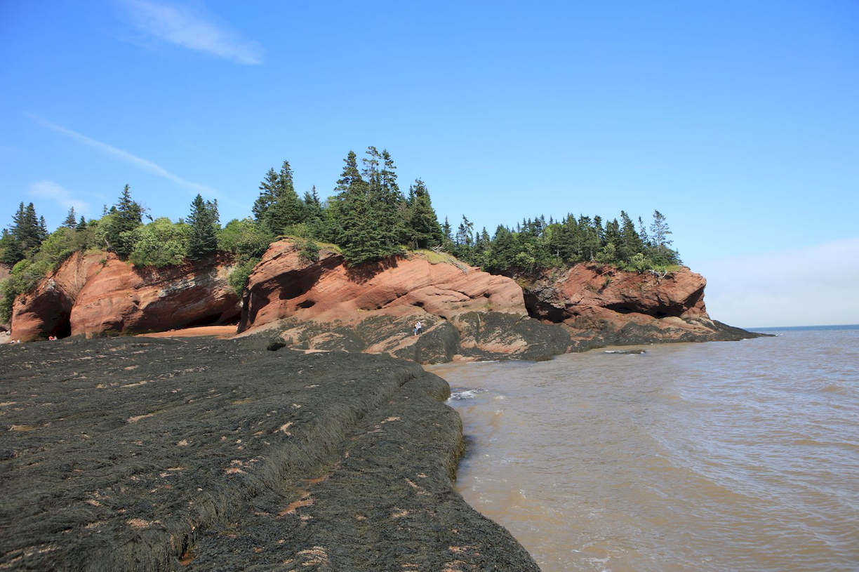 2016-07-15 Fundy National Park