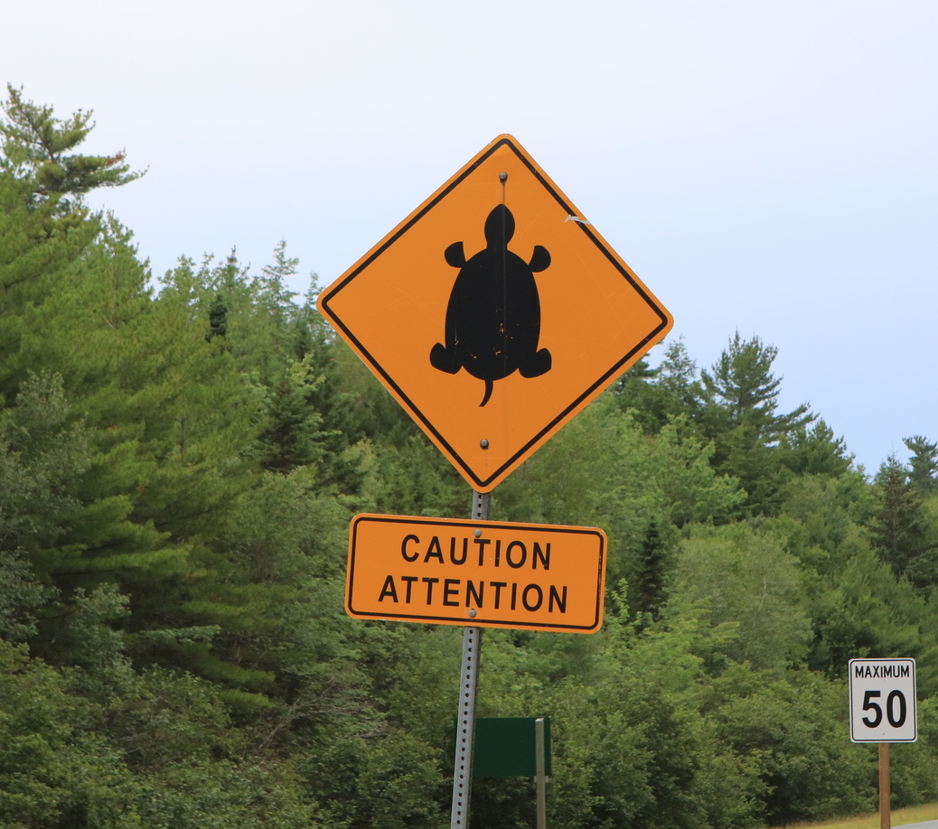 2016-07-17 Kejimkujik NP und Lunenburg