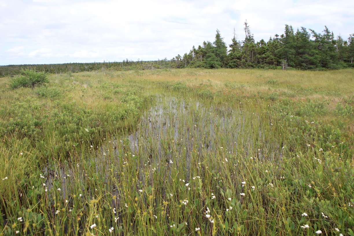 2016-07-19 Tatamagouche nach Sydney