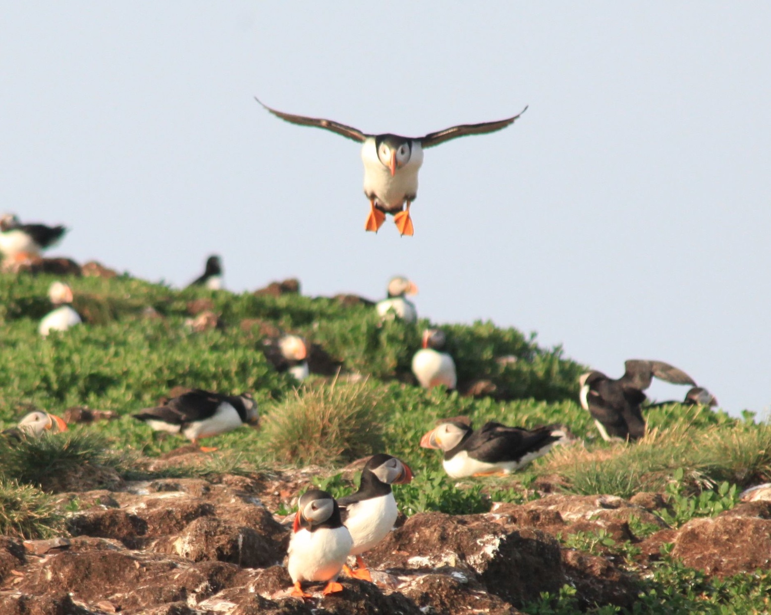 2016-07-22 St. John's nach Trinity