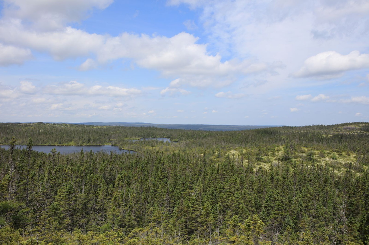 2016-07-23 Trinity nach Gander