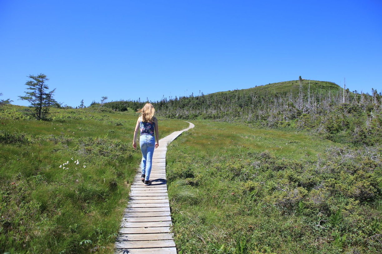 2016-07-25 Gros Morne National Park