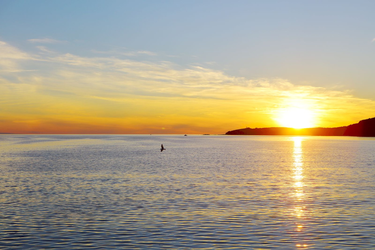 2016-07-25 Gros Morne National Park
