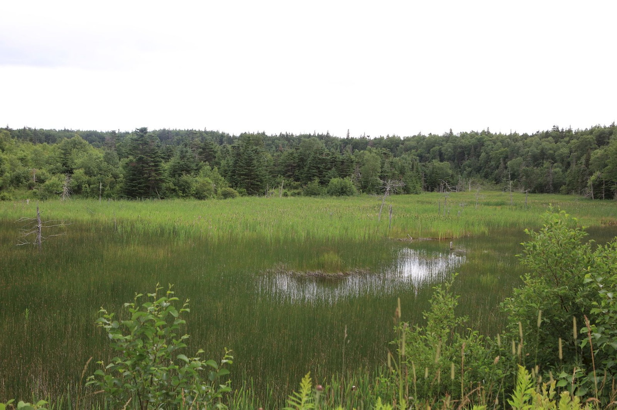 2016-07-27 Corner Brook nach Port aux Basques