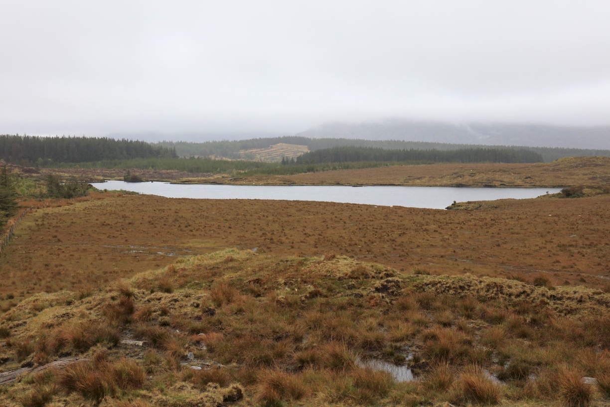2018-05-15 Connemara NP und Galway