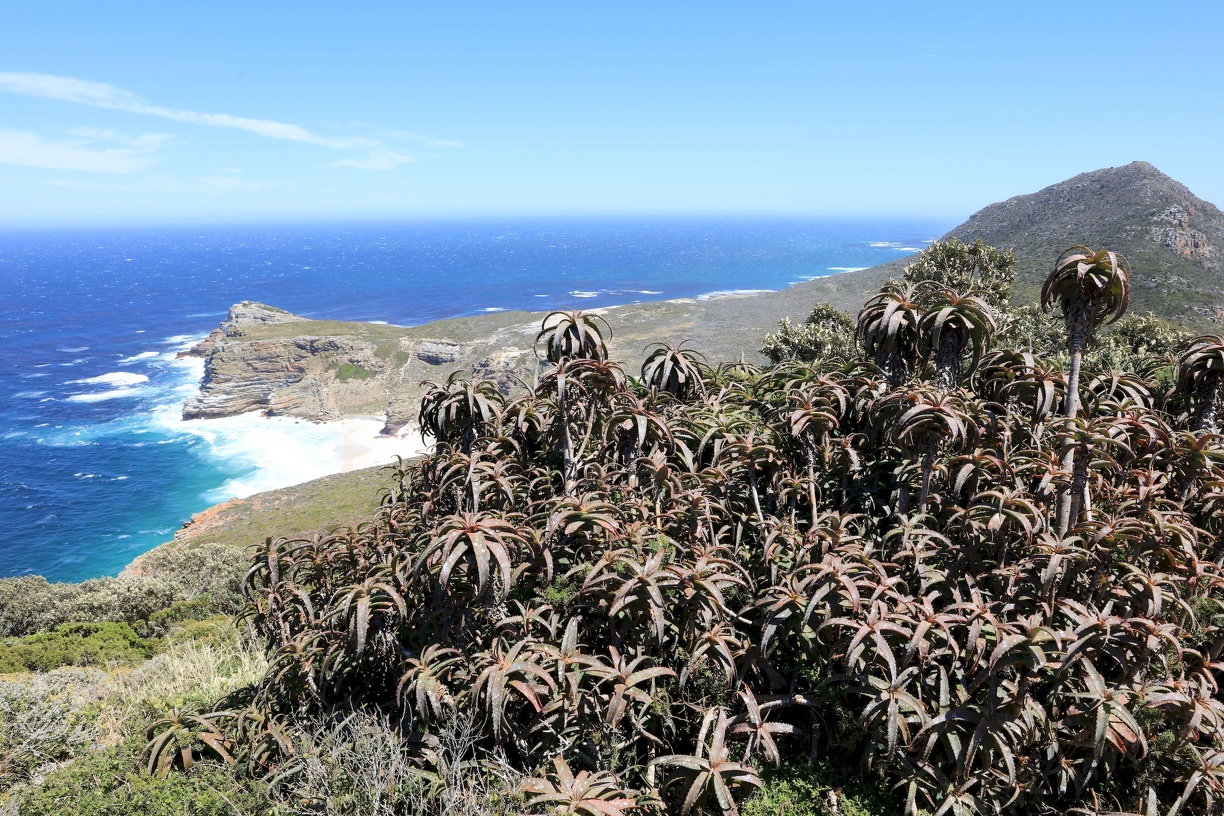 2018-10-21 Ausflug zum Kap