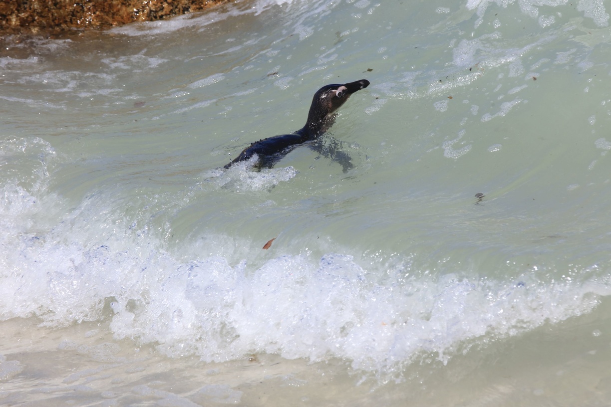 2018-10-21 Ausflug zum Kap