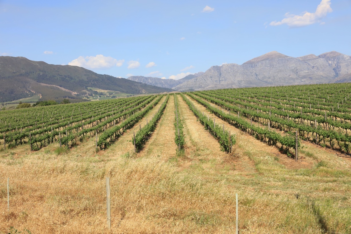 2018-10-23 All Aboard