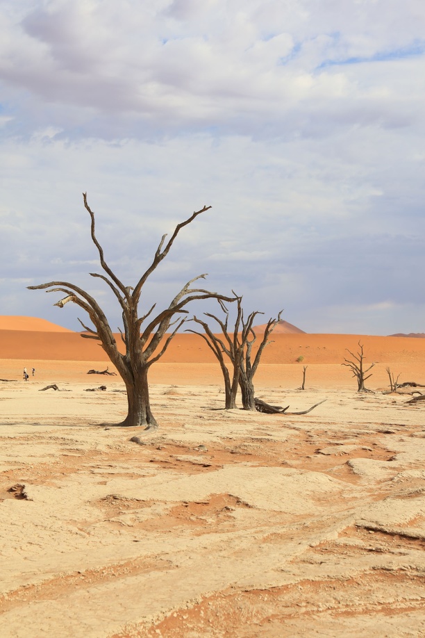 2018-10-29 Namib-Wüste