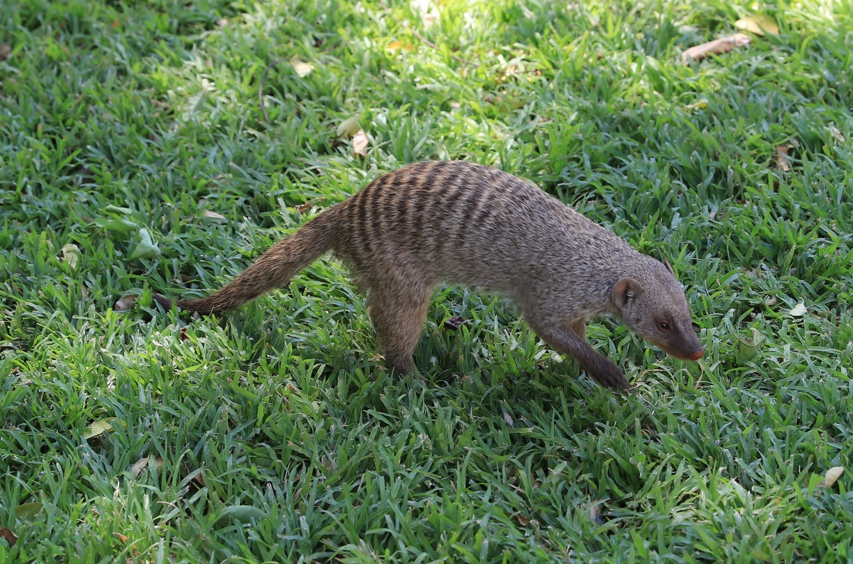 2018-11-02 von der Lodge zurück zum Zug