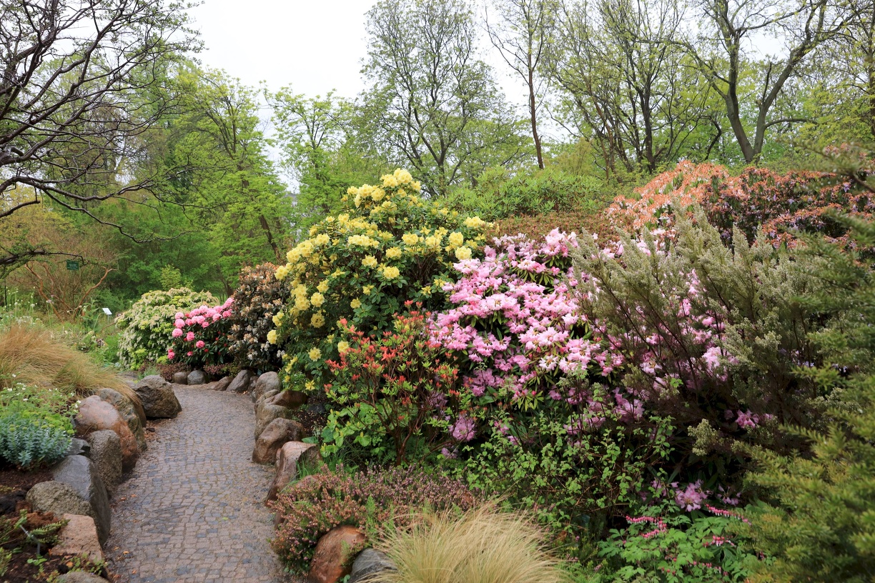 2019-05-17 Innenstadt