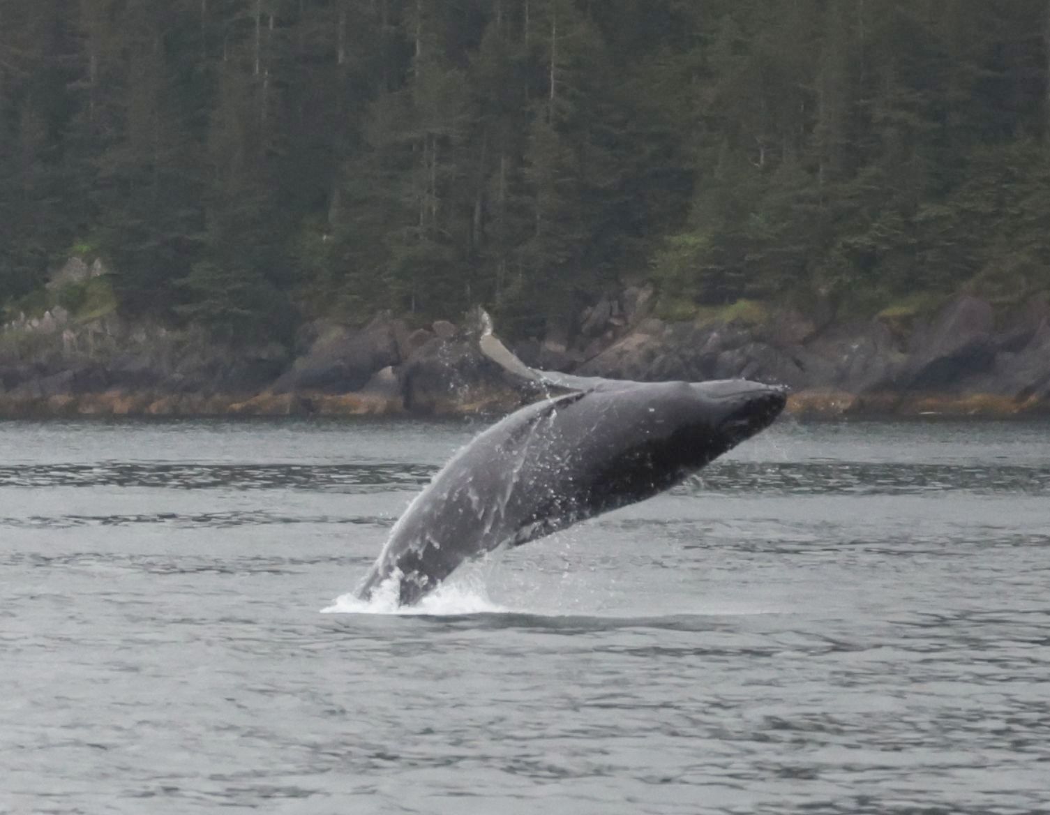 2023-06 Alaska