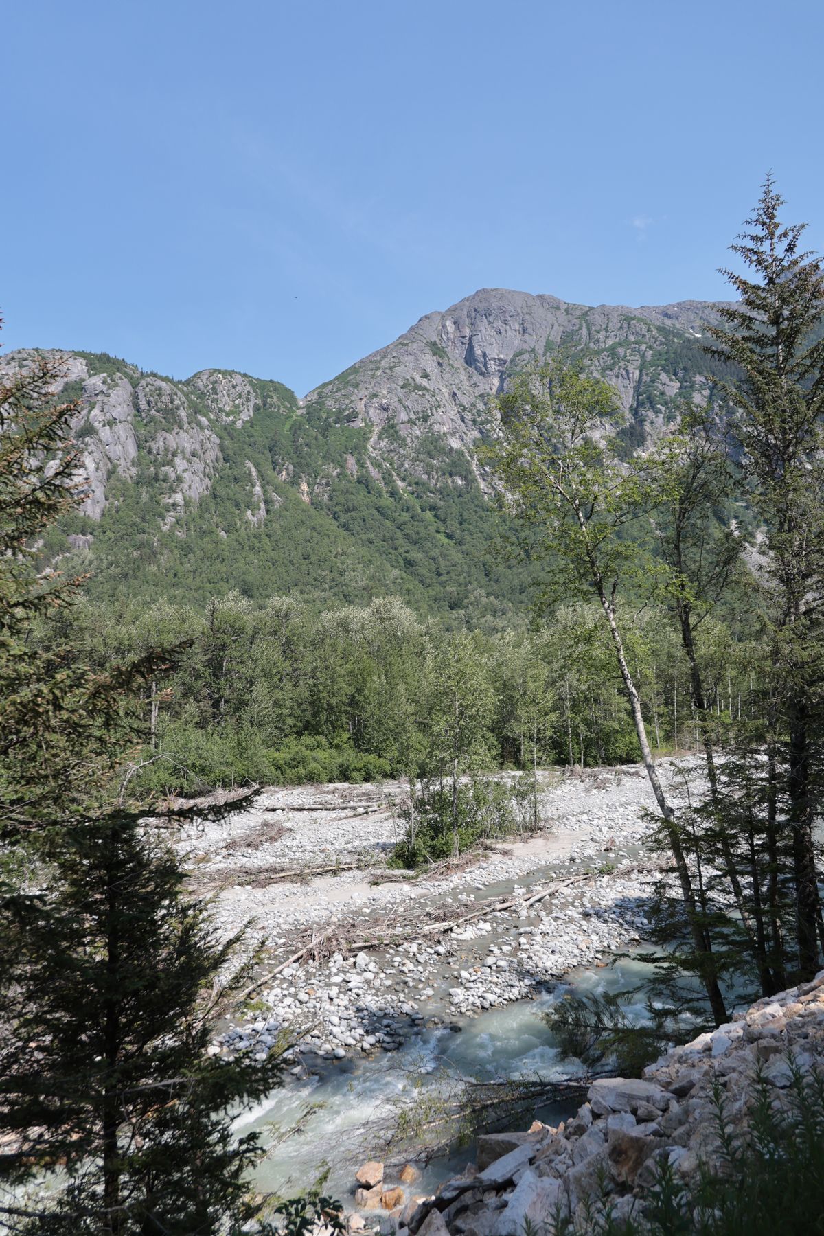 2023-07-10 Zugfahrt mit der White Pass & Yukon Railroad
