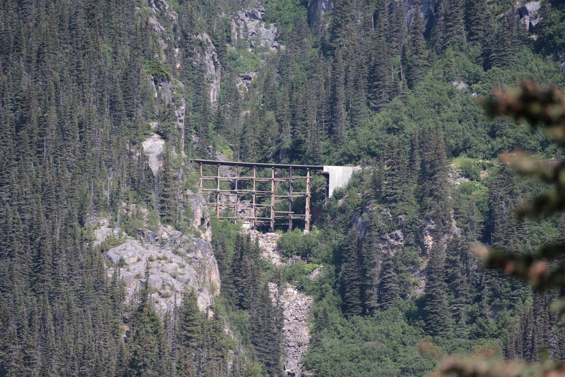 2023-07-10 Zugfahrt mit der White Pass & Yukon Railroad