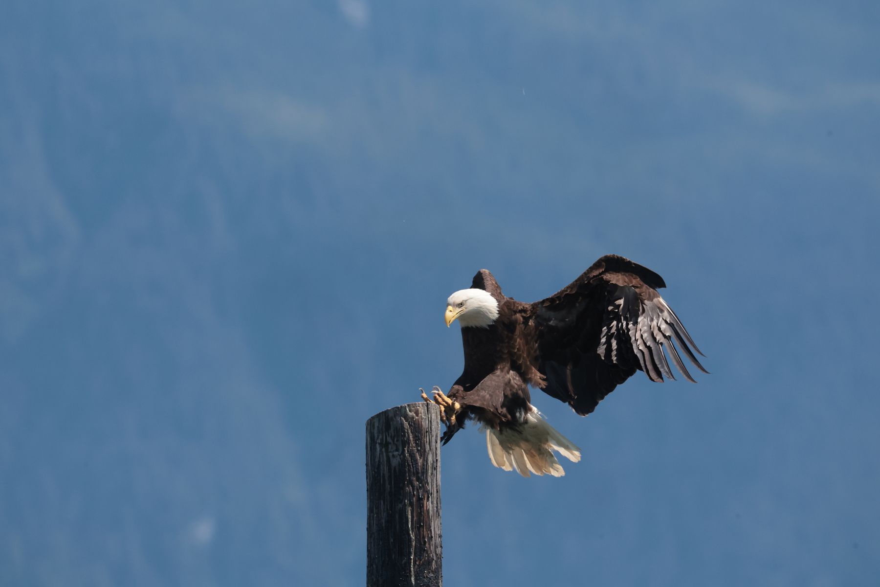 2023-07-13 Fährfahrt von Haines nach Juneau