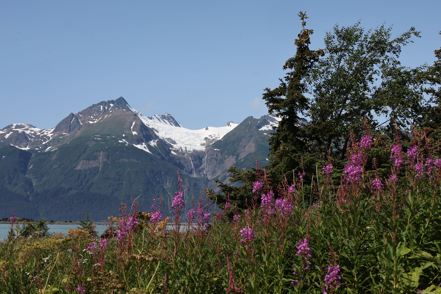 2023-07-13 Fototour in Haines