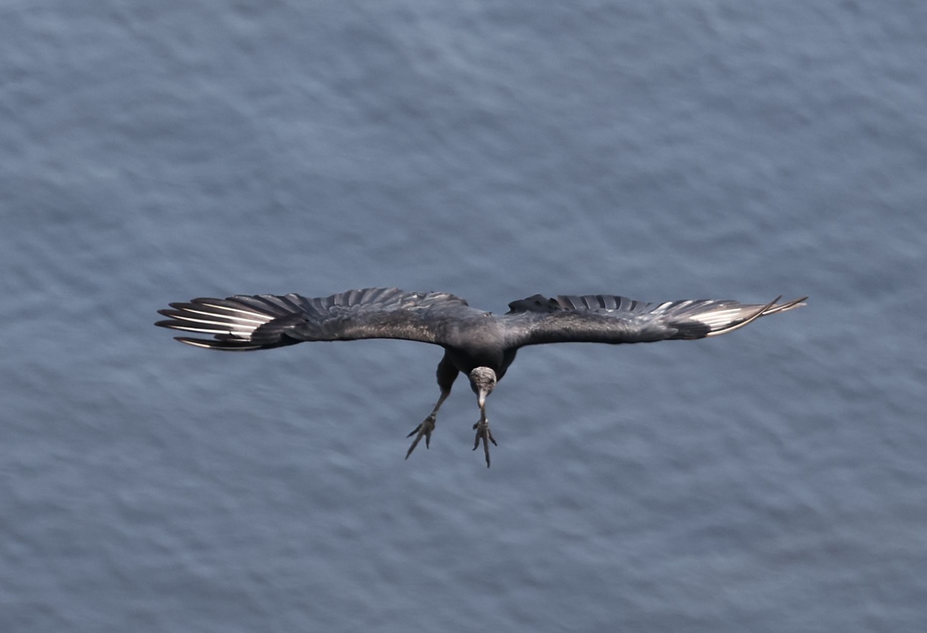 2025-02-22 Rio de janeiro