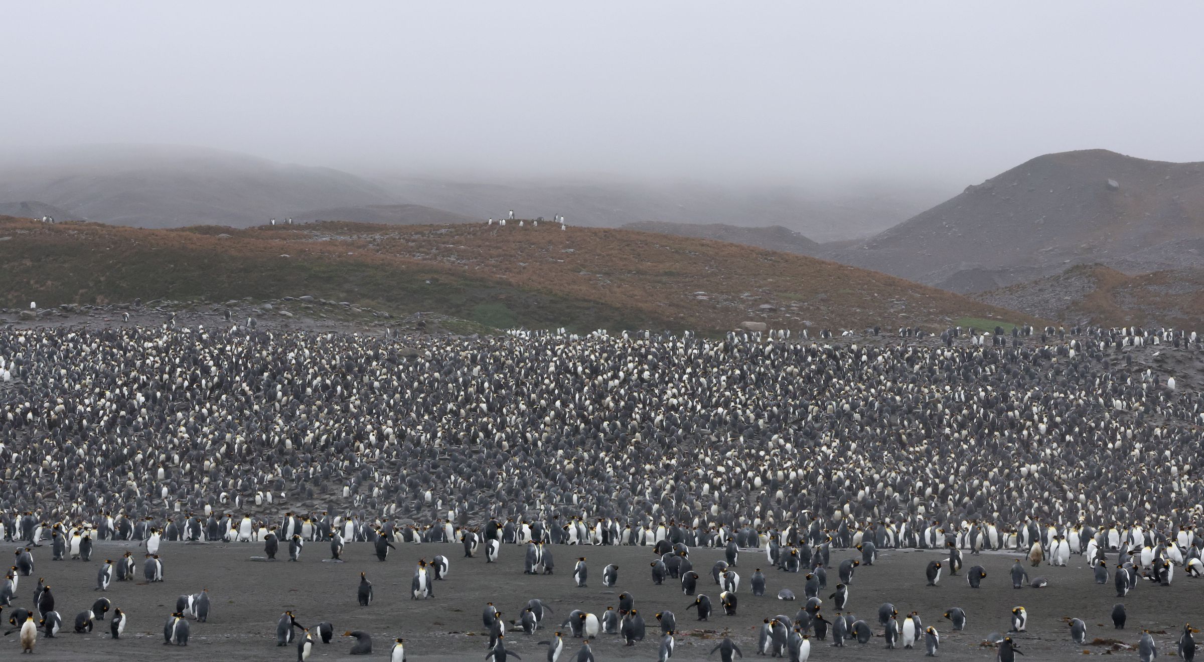 2025-03-08 St. Andrews Bay
