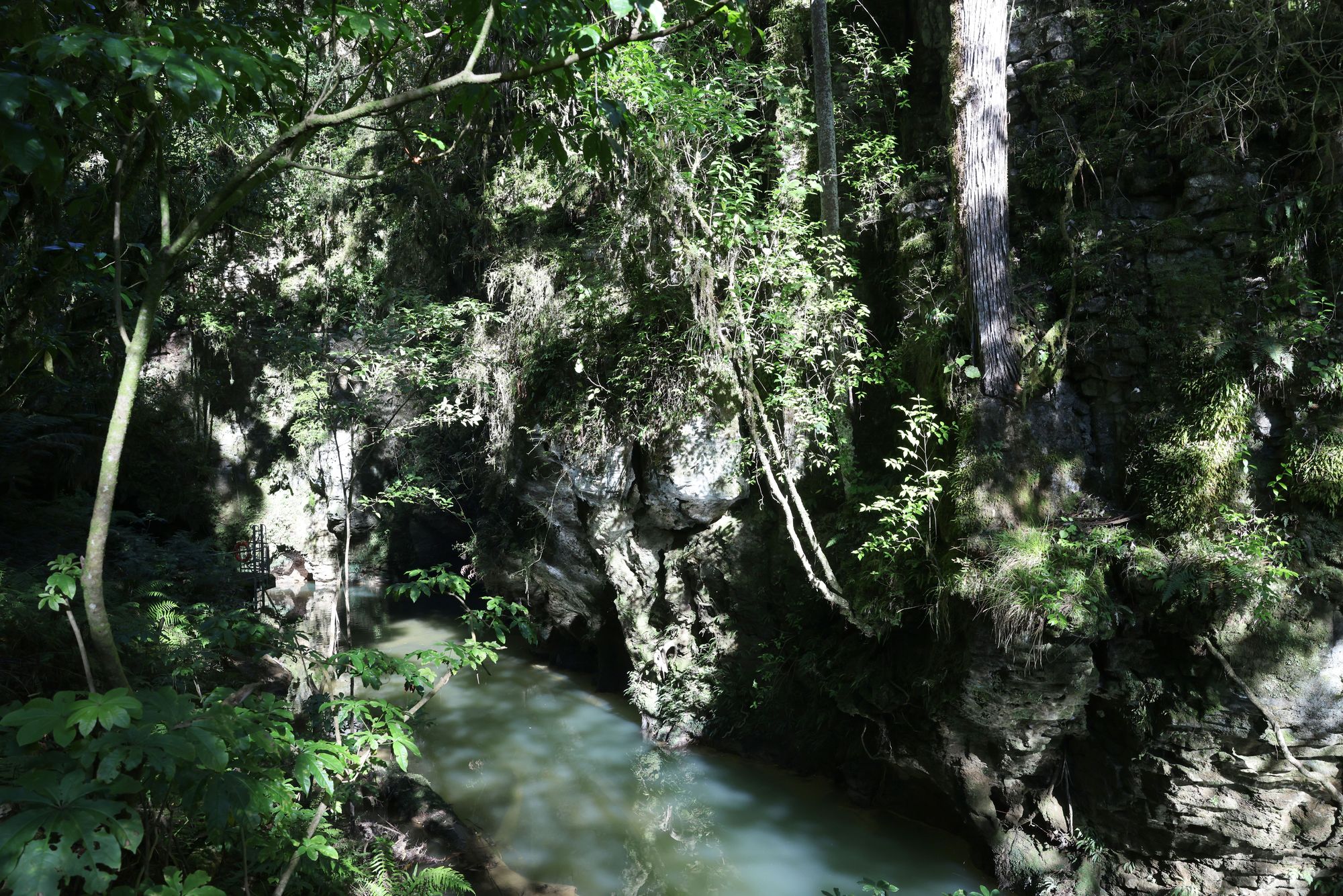 2026-05-14 Waitomo Cave