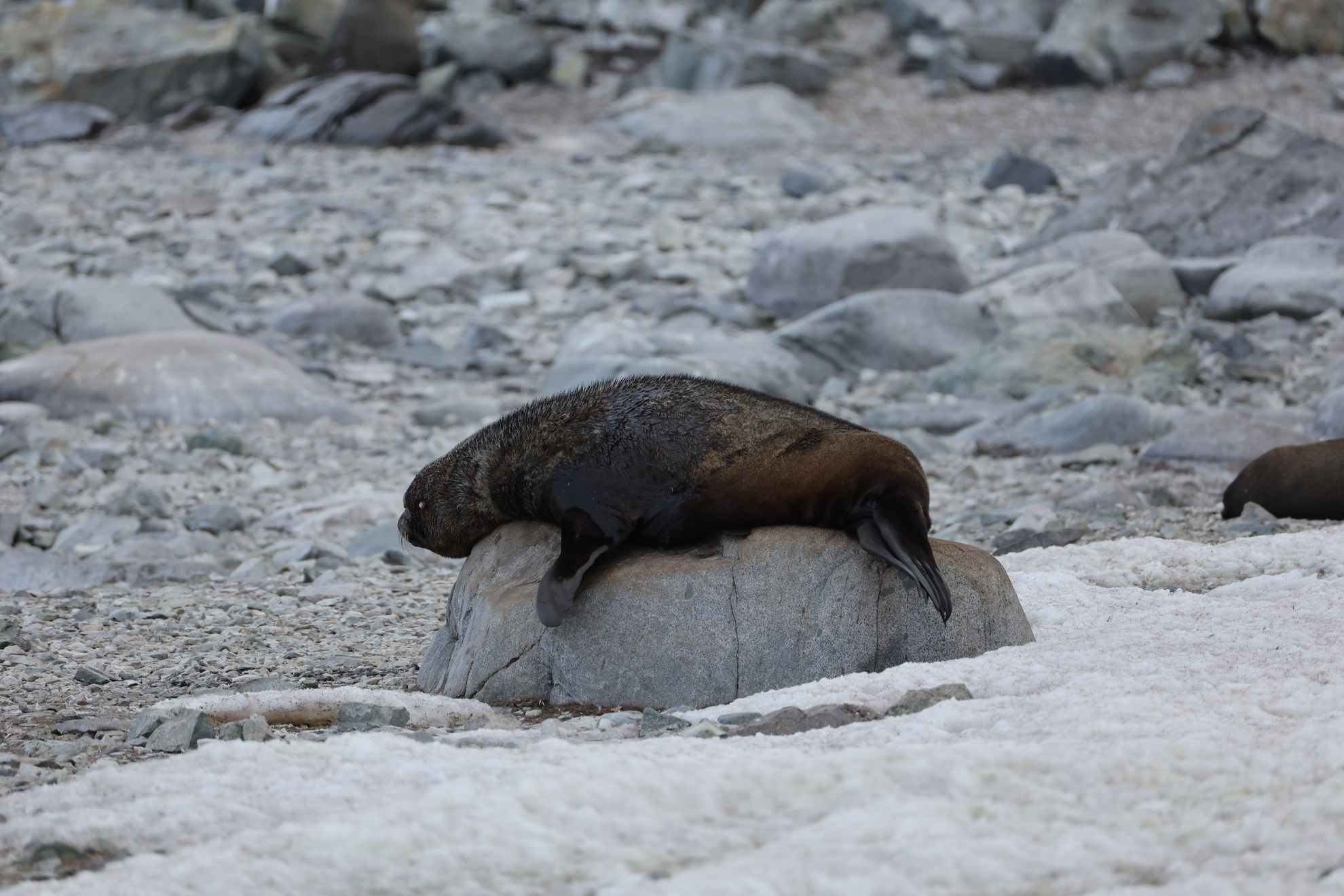2026-03-02 Georges Point