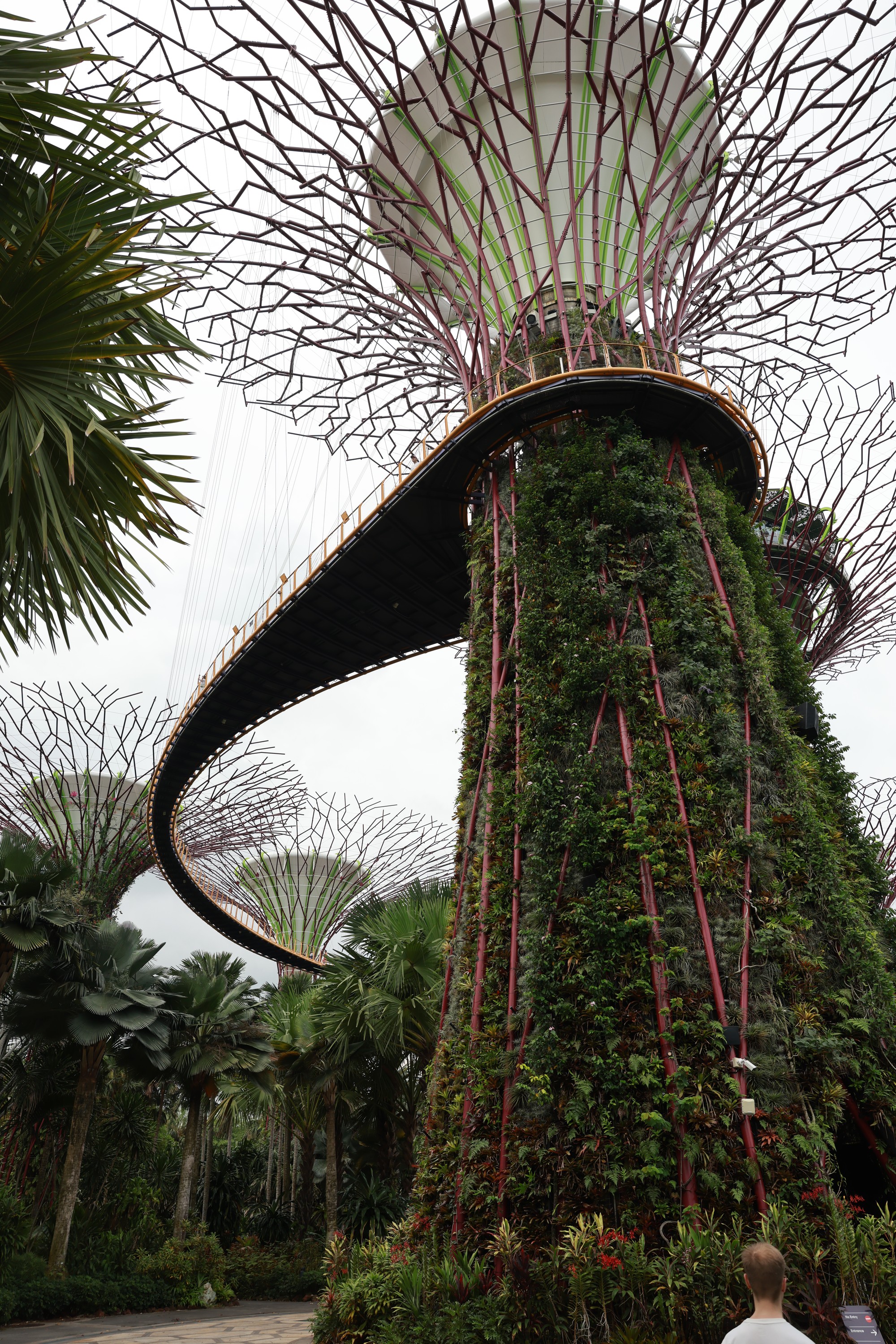 2026-04-24 Marina Bay Gardens