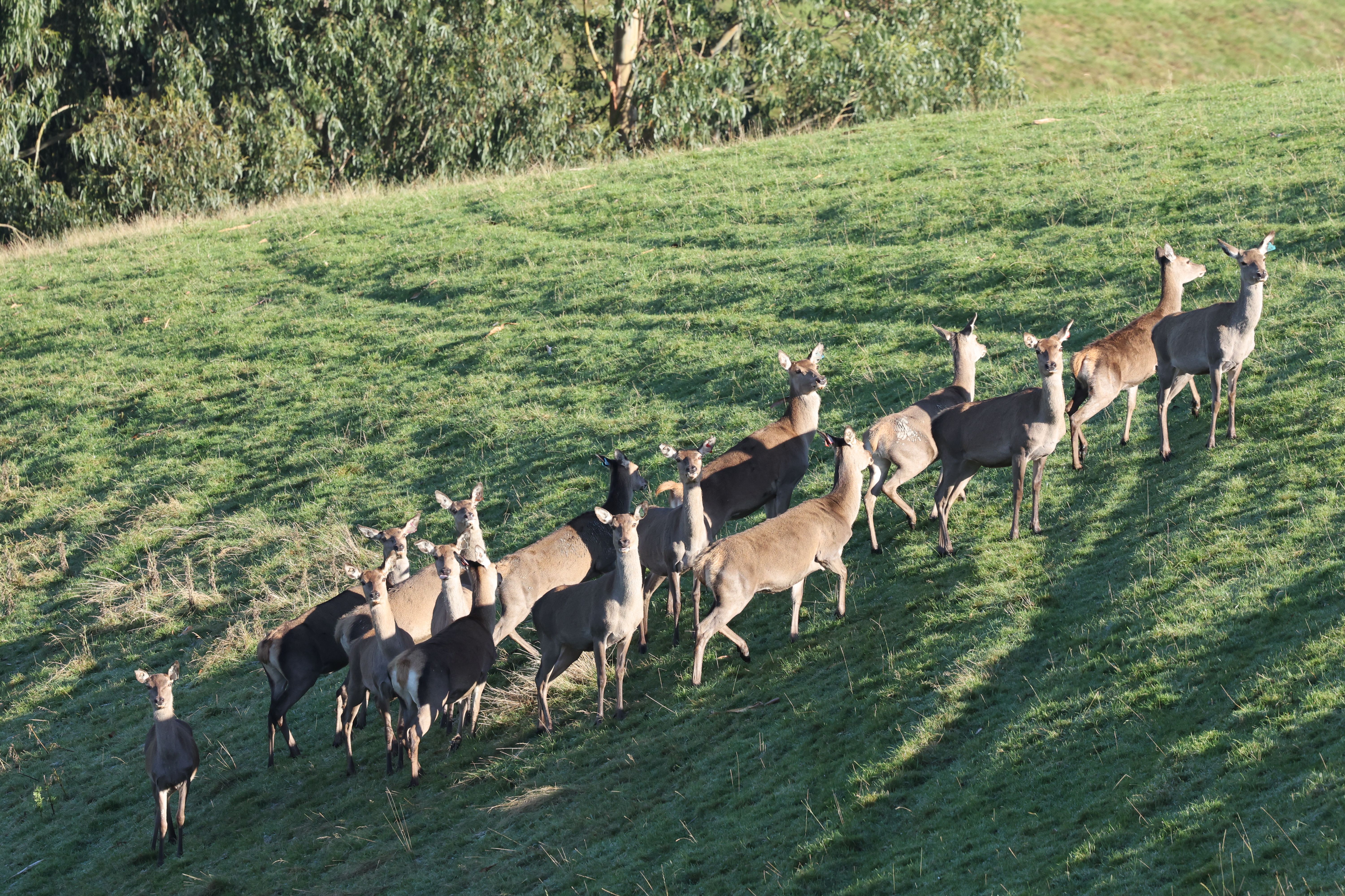 2026-05-01 Fahrt nach Dunedin