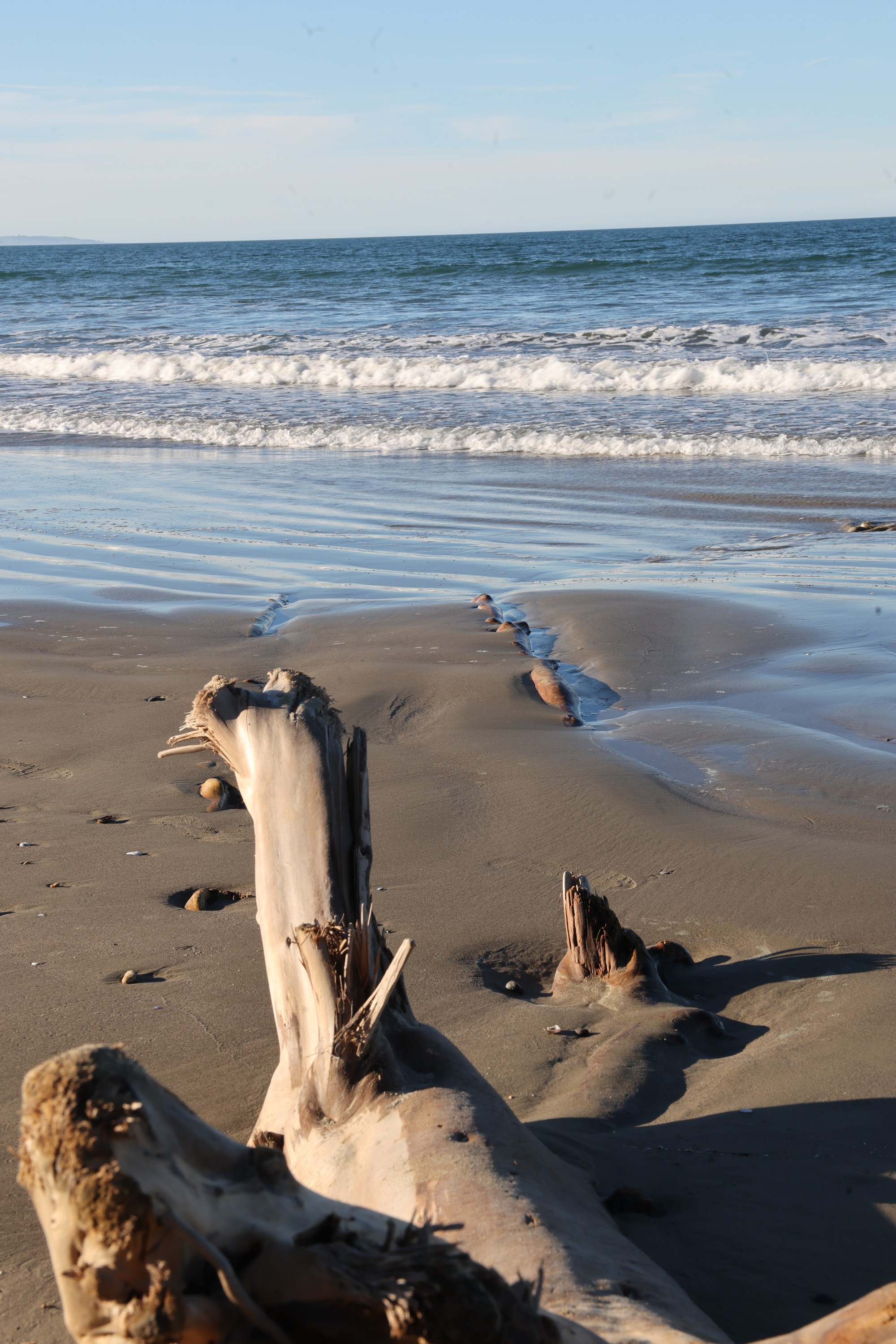 Moeraki Boulders Beach