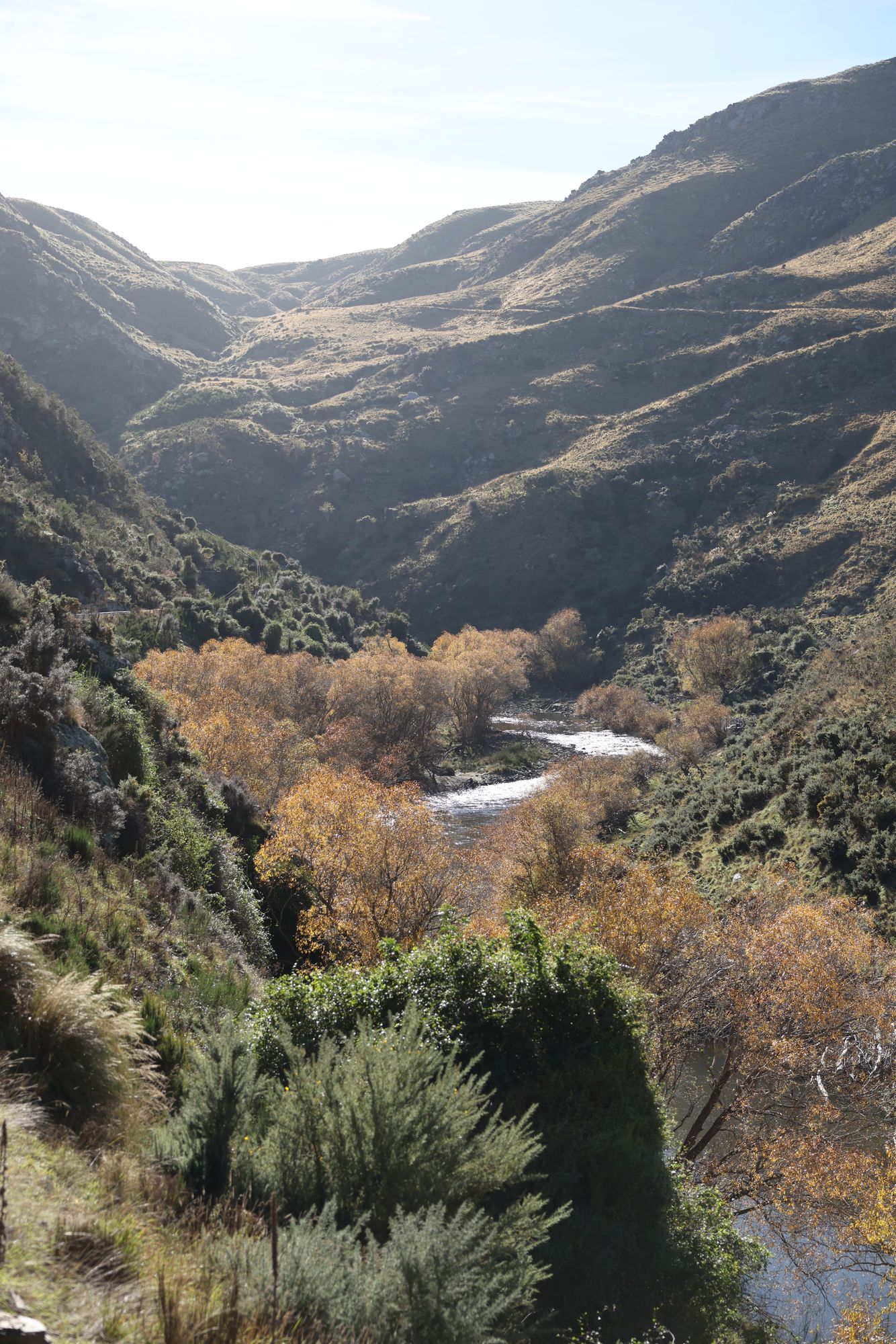 2026-05-02 Zugfahrt mit der Taieri Gorge Railway