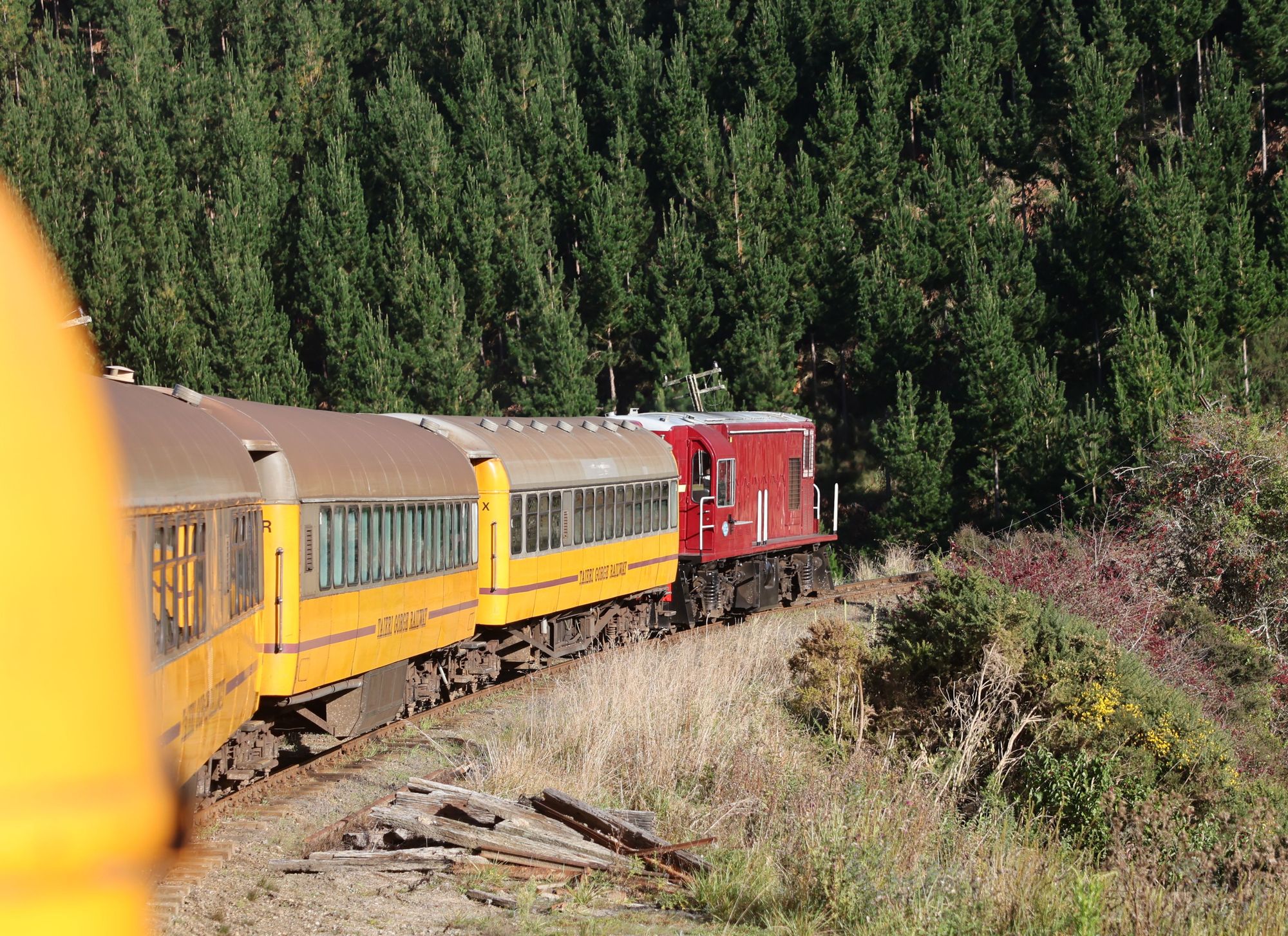 3Y8A9881