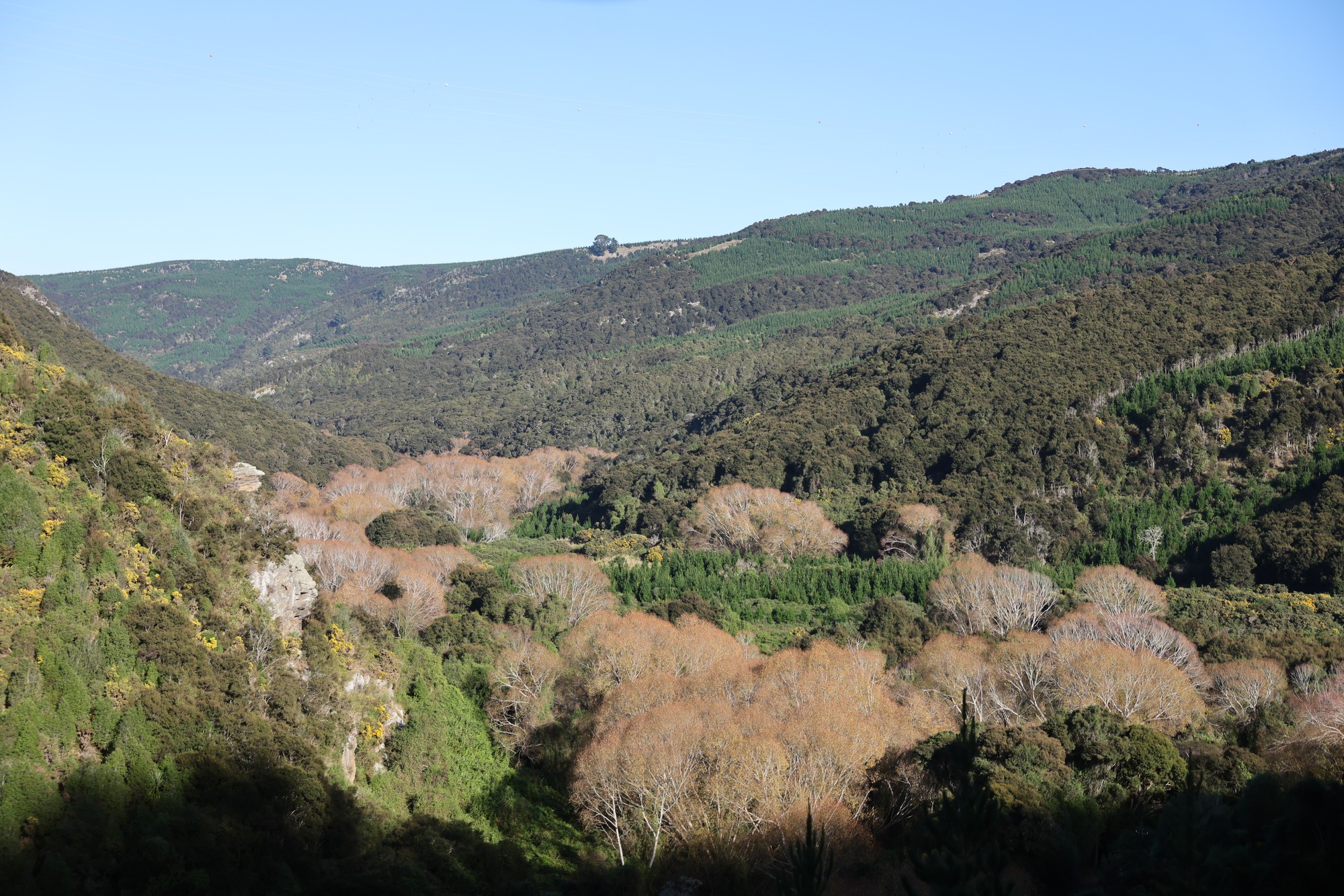 Taieri Gorge Railway Zugfahrt:
