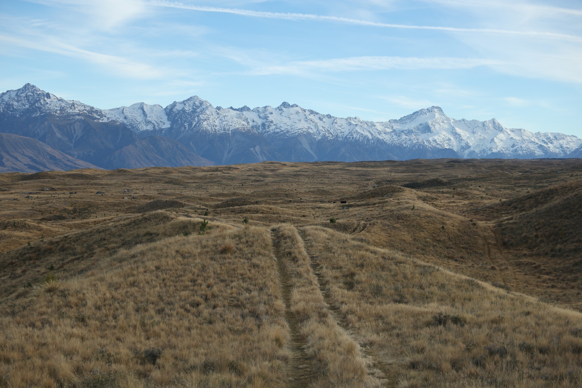 Jeeptour: Braemar Station