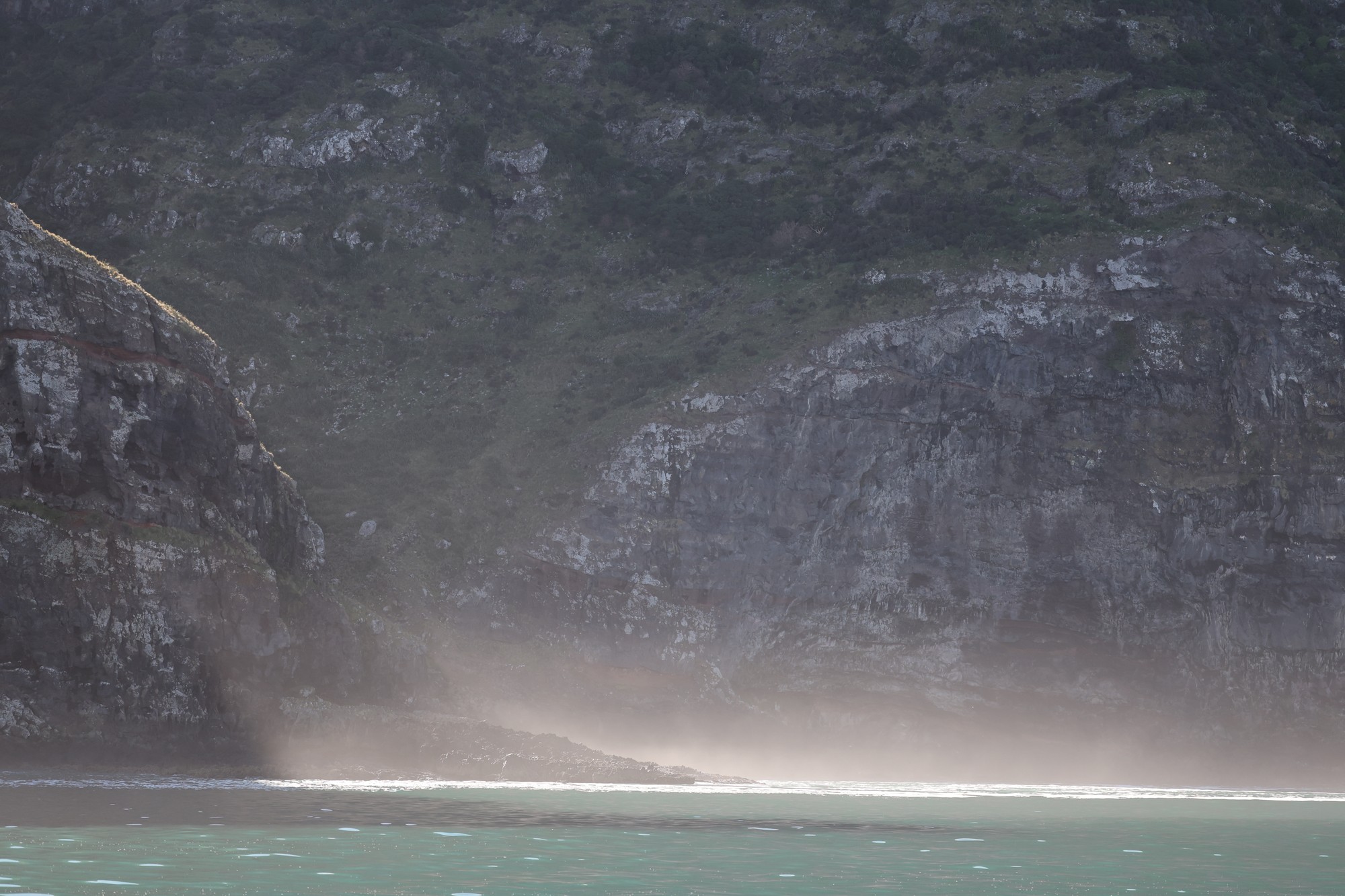 Dolphin Tour: