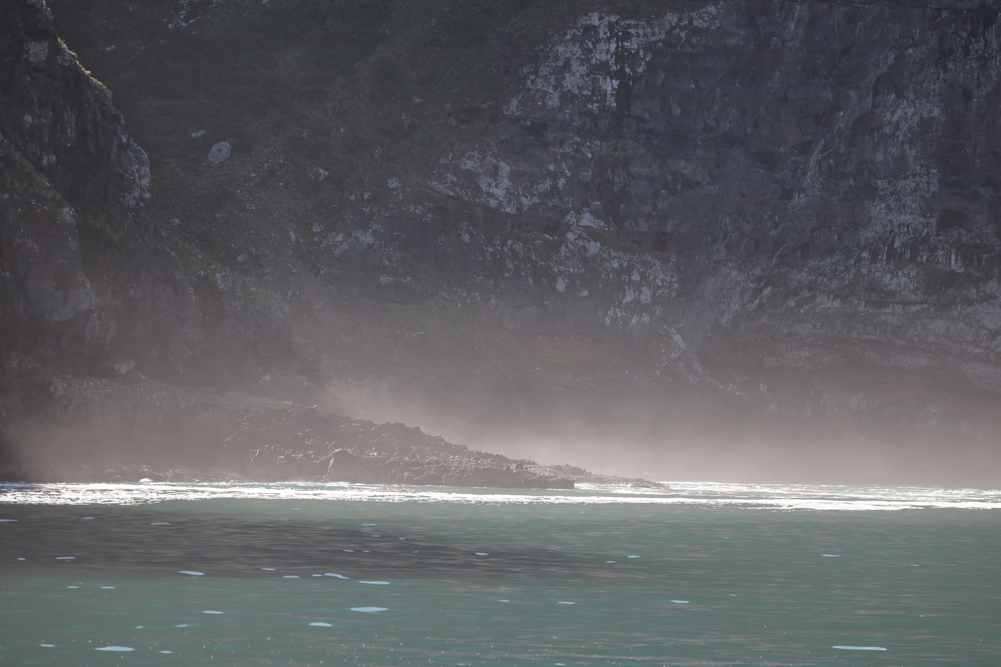 Dolphin Tour: