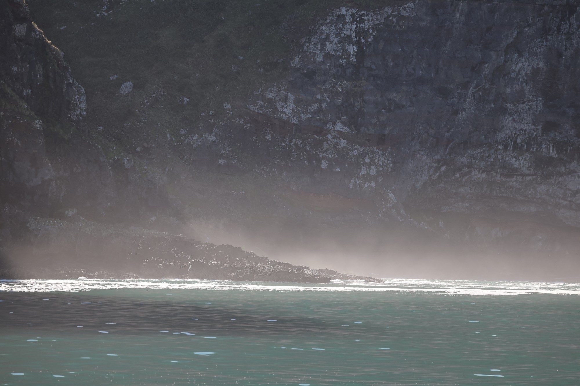 Dolphin Tour:
