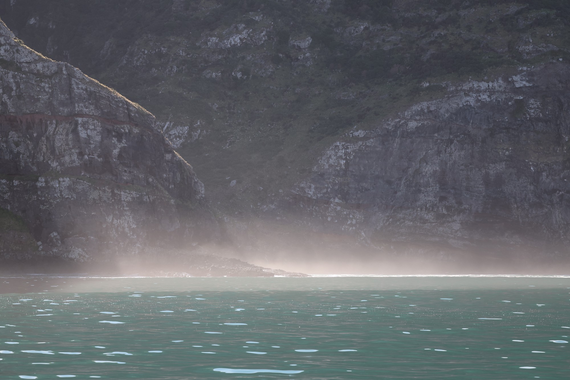Dolphin Tour:
