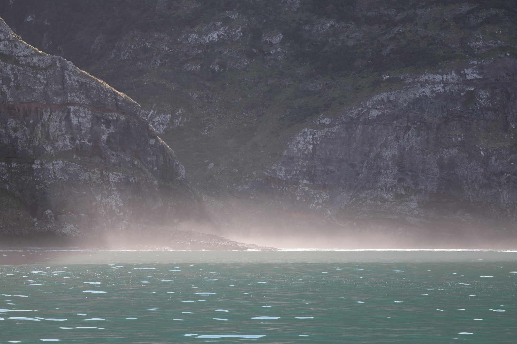 Dolphin Tour: