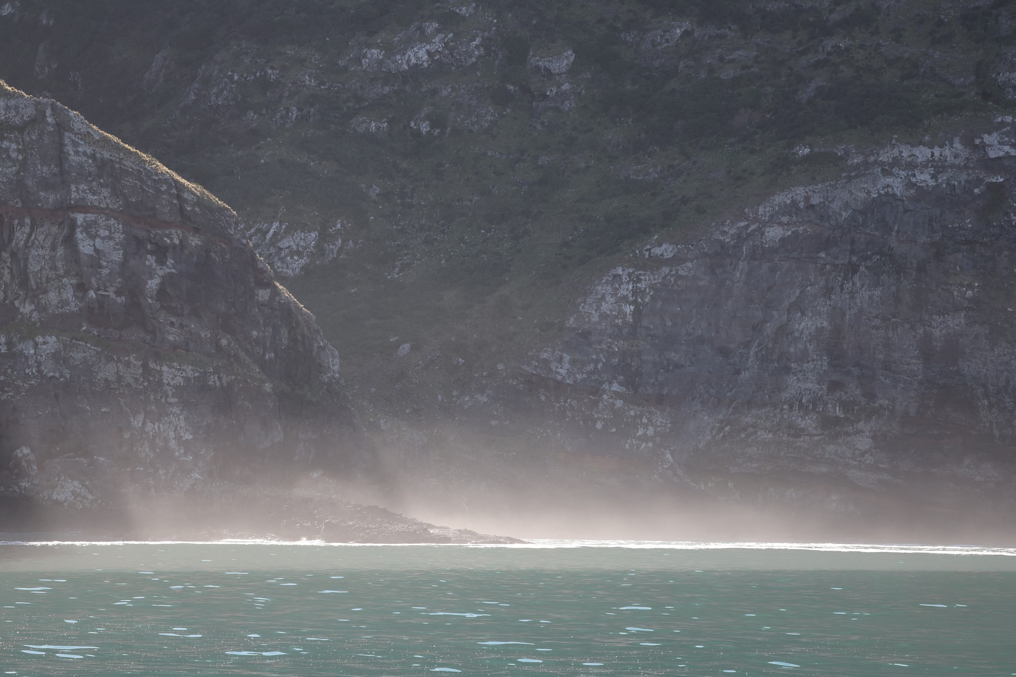 Dolphin Tour: