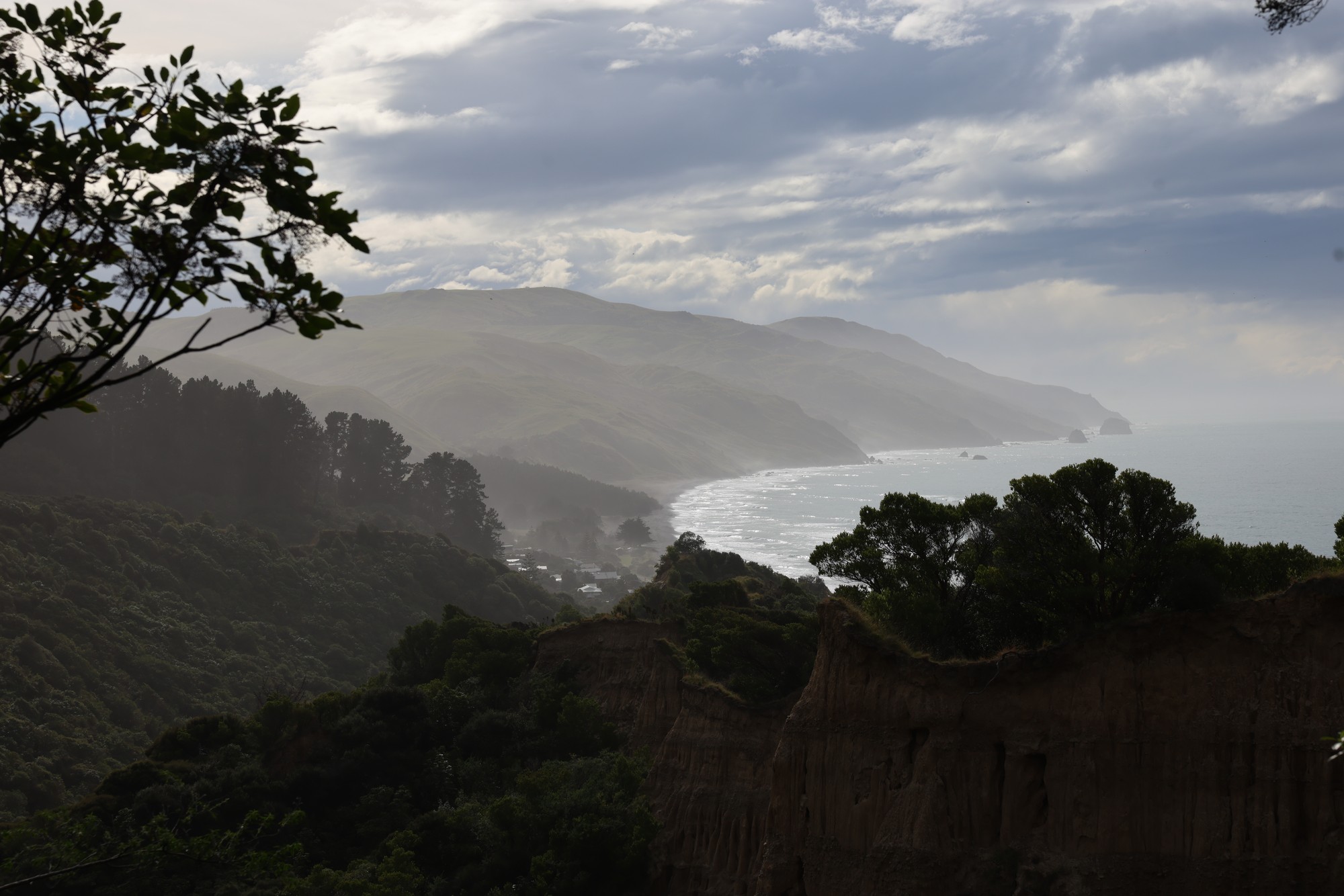 Cathedral Gully