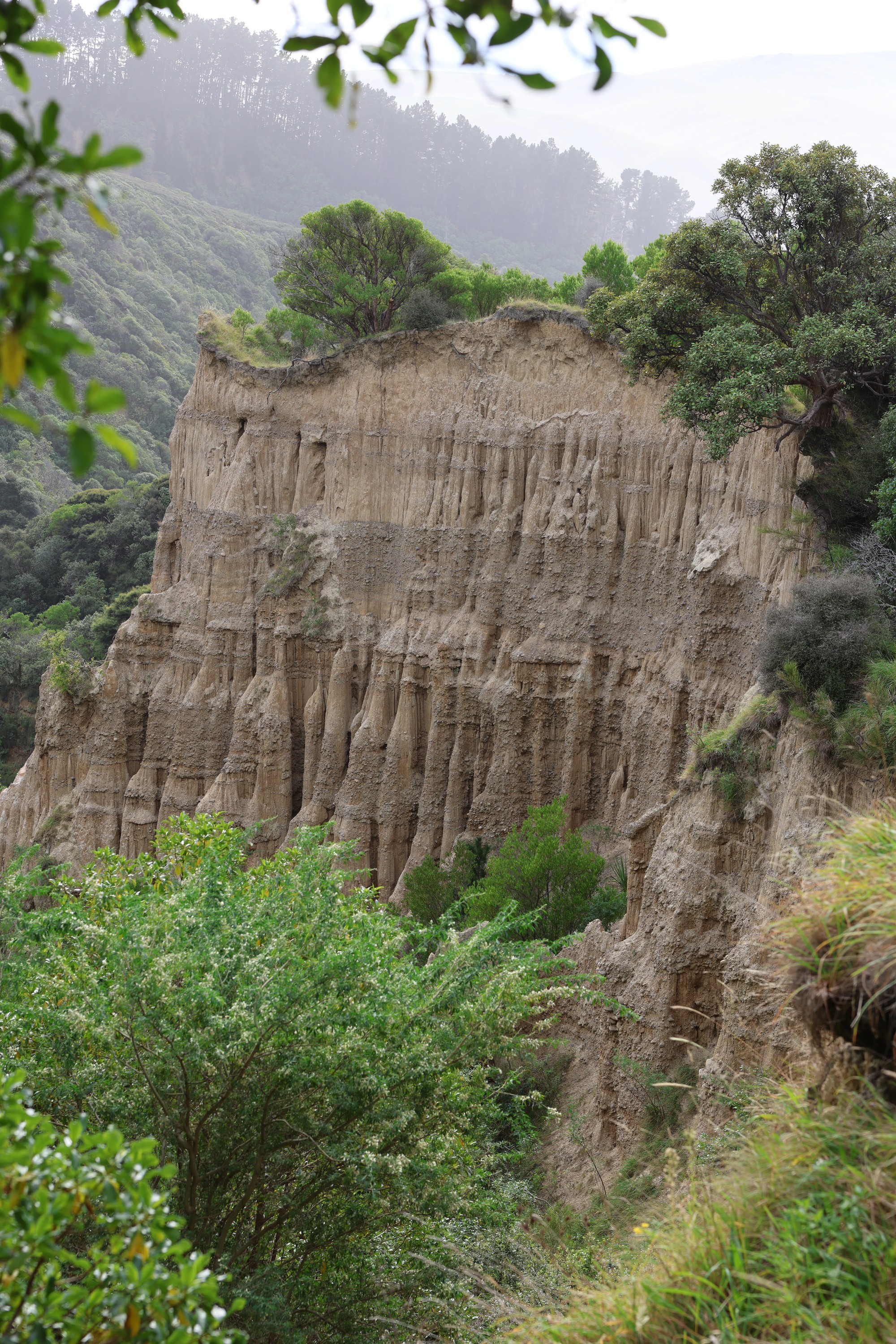 Cathedral Gully: