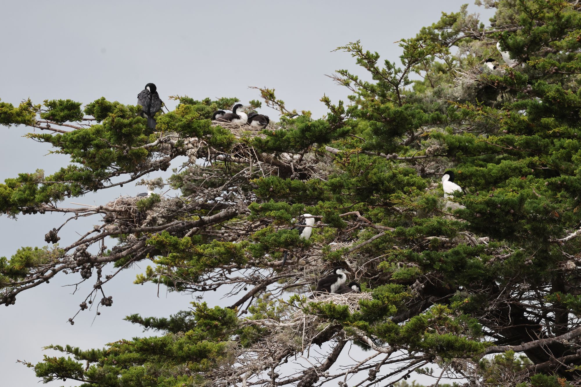 2026-05-08 Wanderung Kaikoura Peninsula