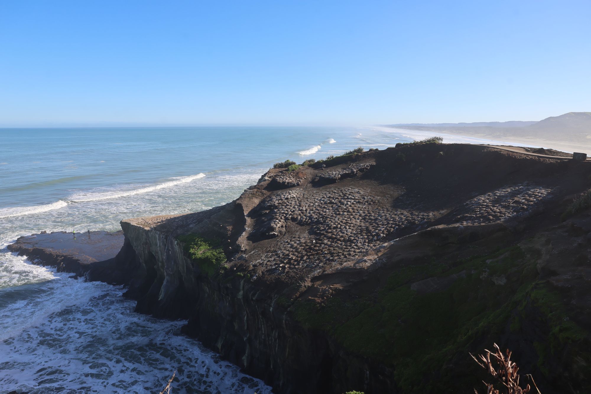 2026-05-15 Ausflug zum Muriwai Beach
