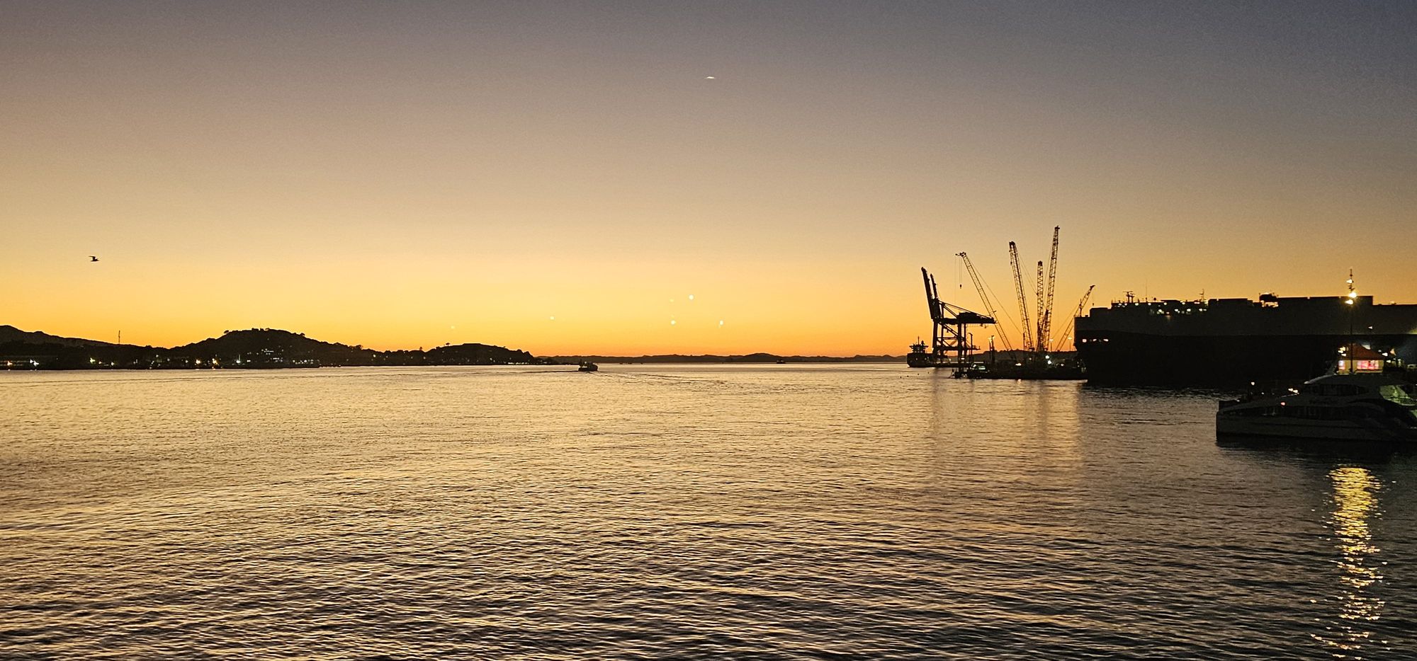2026-05-15 Sonnenaufgang in Auckland