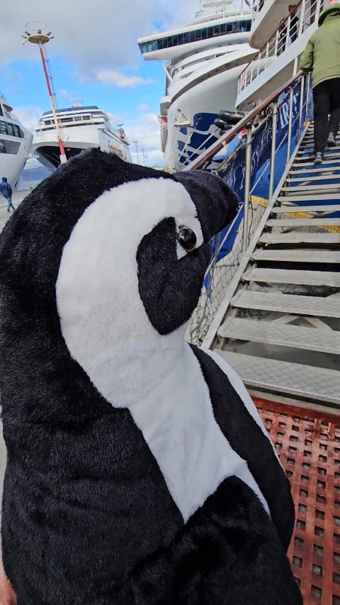 20250227_164654_1740687100154