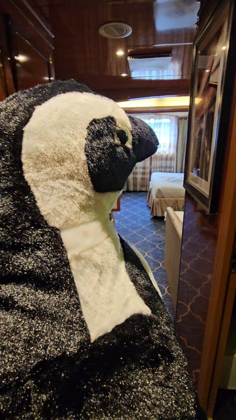 20250227_165658_1740687281132